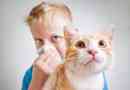 Jak wygląda uczulenie dla kota u dzieci, co z tym zrobić?