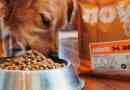 Teraz świeży pies jedzenie - plusy i minusy