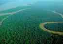 Las amazonia