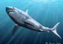 Meghalodon: istnieje monster akula! Nie dawno temu ..