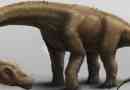 Na terytorium argentyny znalazł nowy rodzaj dinozaurów