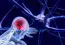 Układ nerwowy człowieka - funkcje, struktura, departamenty i funkcje