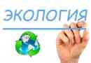 Dlaczego często słyszymy słowo ekologia?