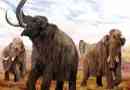 Stało się znane, dlaczego mamuty są wymarłe