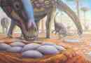 Naukowcy ustalili temperaturę ciała dinozaurów: pomógł skorupa jaja
