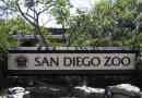 Zoo san diego: ark dla zwierząt skazanych