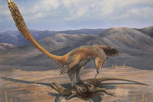 10 Faktów o denonich straszne cogte 10 Faktów o denonich straszne cogte