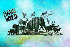 10 Głównych powodów, dla których zwierzęta znikają 10 Głównych powodów, dla których zwierzęta znikają