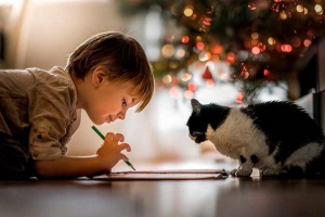 10 Najbardziej czułych i przyjaznych ras kotów 10 Najbardziej czułych i przyjaznych ras kotów