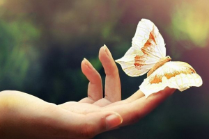 33 Zasady życia w harmonii z naturą 33 Zasady życia w harmonii z naturą