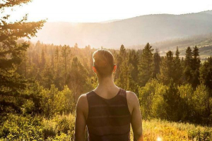 5 Zawodów dla miłośników dzikich zwierząt