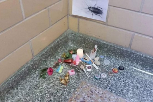 Amerykańscy studenci uroczyście pochowani karaluchami