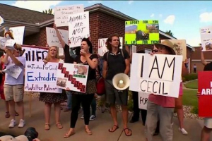 Amerykańskie ubożele popytają się z władz, aby dać zabójczy lew cecil Amerykańskie ubożele popytają się z władz, aby dać zabójczy lew cecil