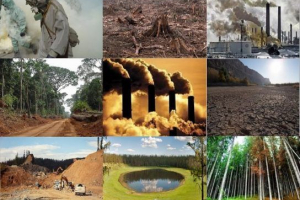 Czynniki antropogeniczne