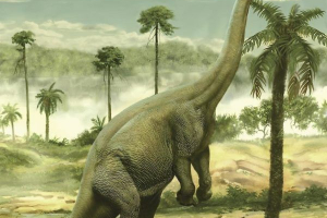 Apatozaura Apatozaura