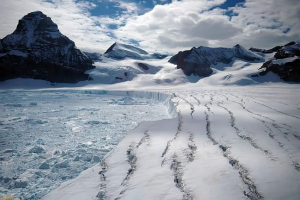 Rezerwat arctic: piękno nie jest straszne zimno! Rezerwat arctic: piękno nie jest straszne zimno!