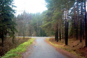 Berezinsky reserve: białoruska natura we wszystkich jego chwale Berezinsky reserve: białoruska natura we wszystkich jego chwale