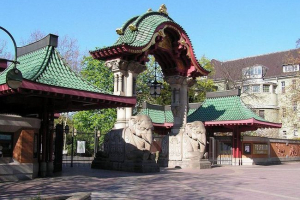 Zoo berlin - recordsman w liczbie zwierząt Zoo berlin - recordsman w liczbie zwierząt