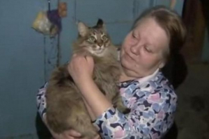 Bezdomny kot masza i dziecko, które uratowała