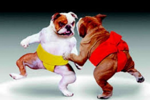 Psy bitwy: niesamowita historia o ścieżce tych zabójców