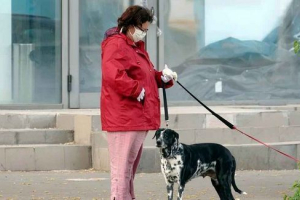 Czy psy chory z koronavirusem i mogą go przekazać?