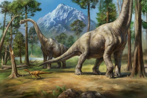 Brachiosaur Brachiosaur