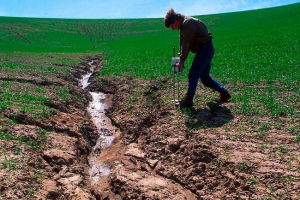 Czym jest erozja gleby - typy, przyczyny, konsekwencje i ochrona gleby