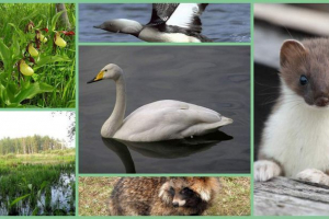 Rezerwat darwin - kolekcja rzadkich okazów