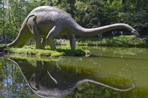 Diplodocus Diplodocus