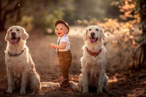 Dobre rasy psów. Tytuły, opis, funkcje i zdjęcia dobrych ras psów Dobre rasy psów. Tytuły, opis, funkcje i zdjęcia dobrych ras psów