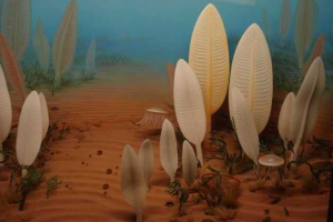 Prekambria lub cryptose