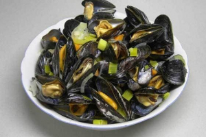 Bivalve molluss Bivalve molluss