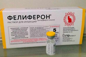 Feliferon dla kotów - jak działać?
