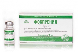 Fospmenyl: immunostymulator i lek przeciwwirusowy dla kotów