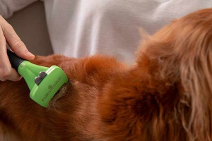 Furminator dla psów - zalety i wady