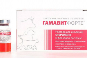 Hamavit dla psów - zalety i wady