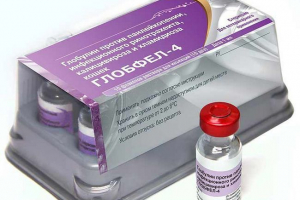 Global-4 dla kotów - zalety i wady