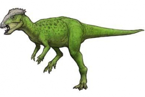 Goyocephal Goyocephal