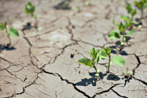 Problemy ekologiczne gleby