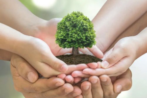 Kolekcja środowiska - co jest z nim nie tak? Kolekcja środowiska - co jest z nim nie tak?