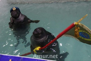 Jako irkuck neros pogratulowali weteranów z wakacje zwycięstwem Jako irkuck neros pogratulowali weteranów z wakacje zwycięstwem