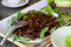 Jakie owady jedzą ludzi? Jakie owady jedzą ludzi?