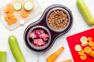 Jaki kanał jest najbardziej odpowiedni dla psów Jaki kanał jest najbardziej odpowiedni dla psów