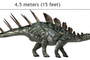 Kentrozavr Kentrozavr