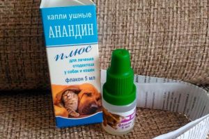 Kiedy przepisane są kropelki dla kotów anandin i jak ich stosować poprawnie? Kiedy przepisane są kropelki dla kotów anandin i jak ich stosować poprawnie?