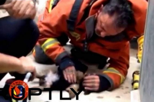 Kolumbijska policja uratowała psa, który wpadł w burzliwy strumień Kolumbijska policja uratowała psa, który wpadł w burzliwy strumień