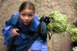 Podnośniki w inekekoms