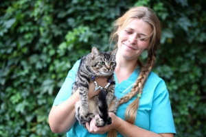 Kot z wrocławia traktuje gospodyni