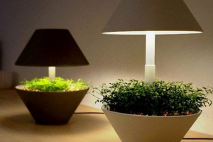 Lampa pobierana z kwiatów Lampa pobierana z kwiatów