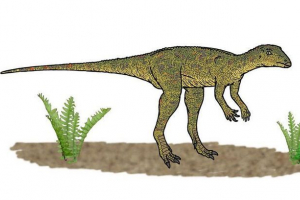 Lesetholar Lesetholar